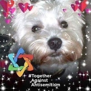 Meet your Posher, Maureen